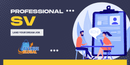 Professional SV - Land Your Dream Job-3